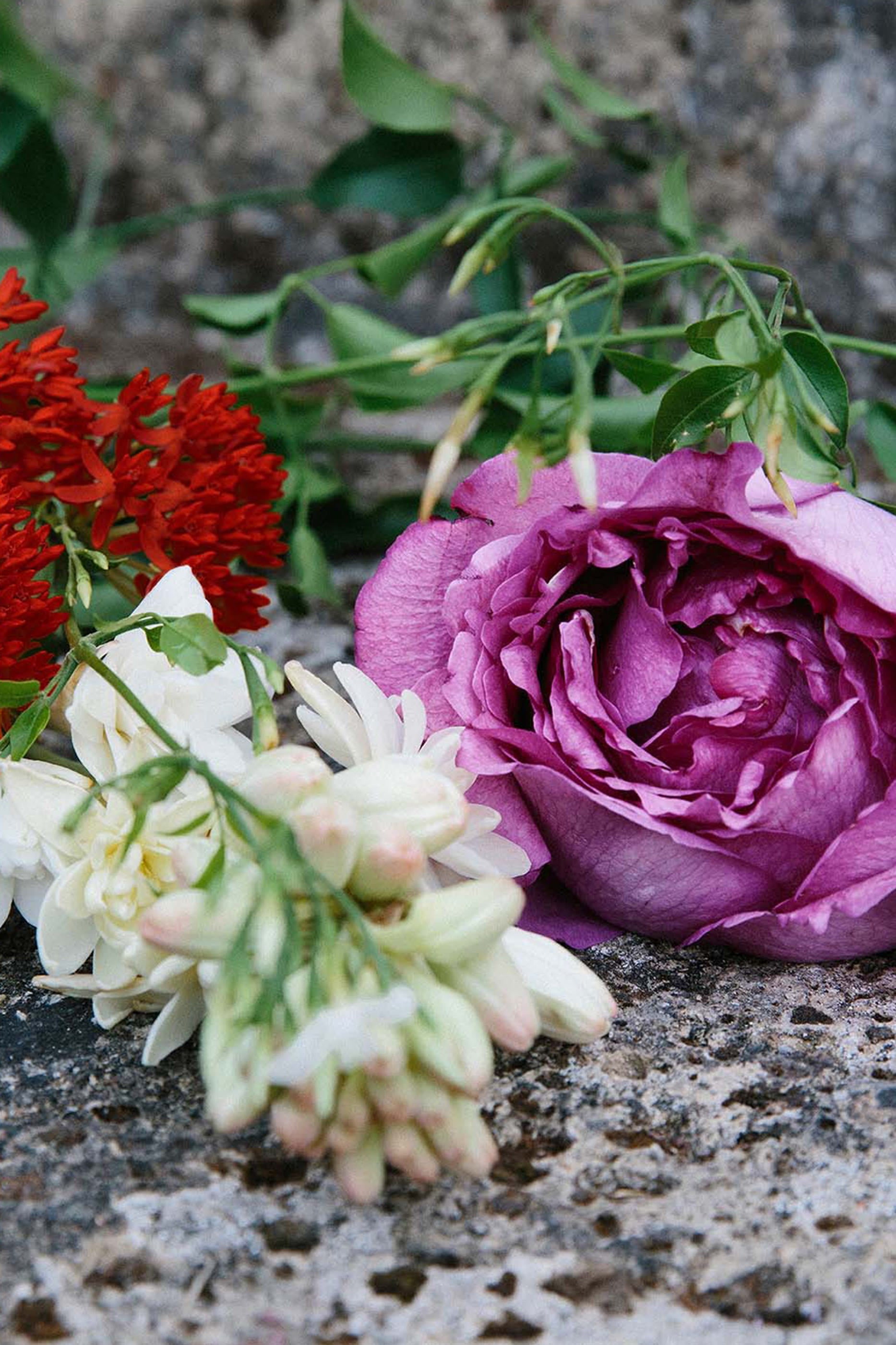 Gucci Bloom Nettare Di Fiori Eau De Parfum