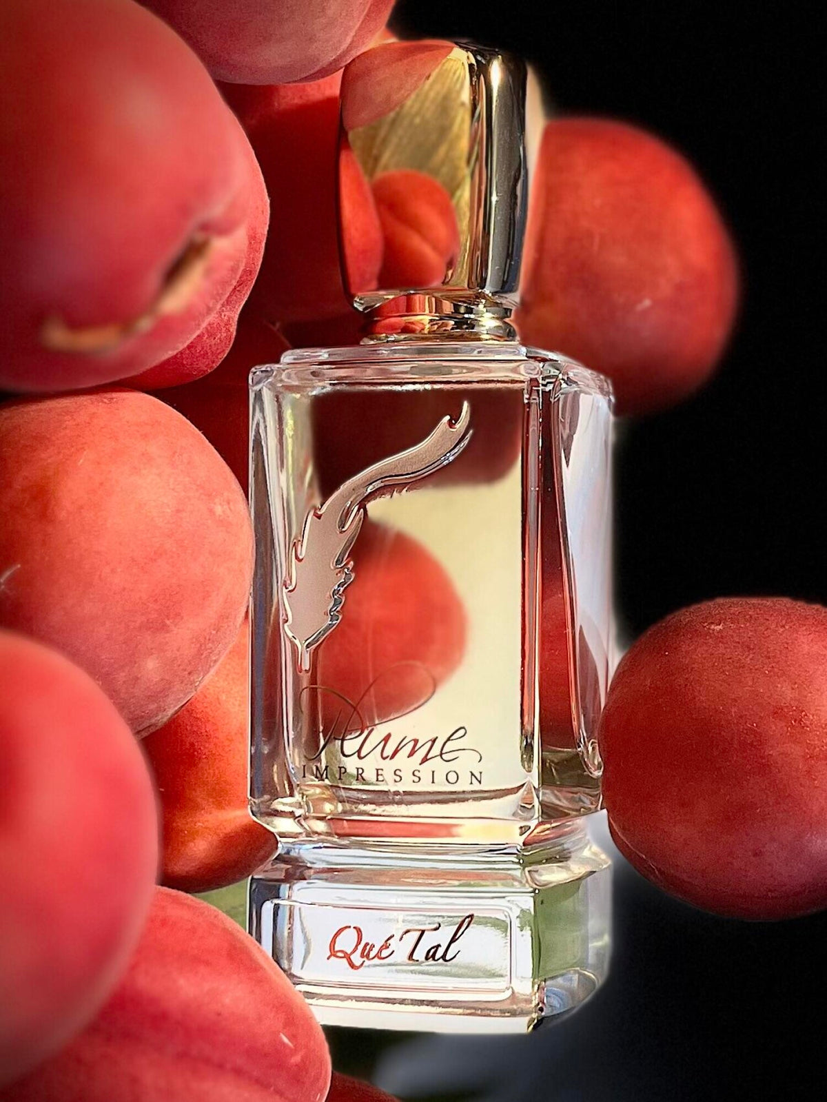 Que Tal 80ml EDP Nat. Spray - New Box