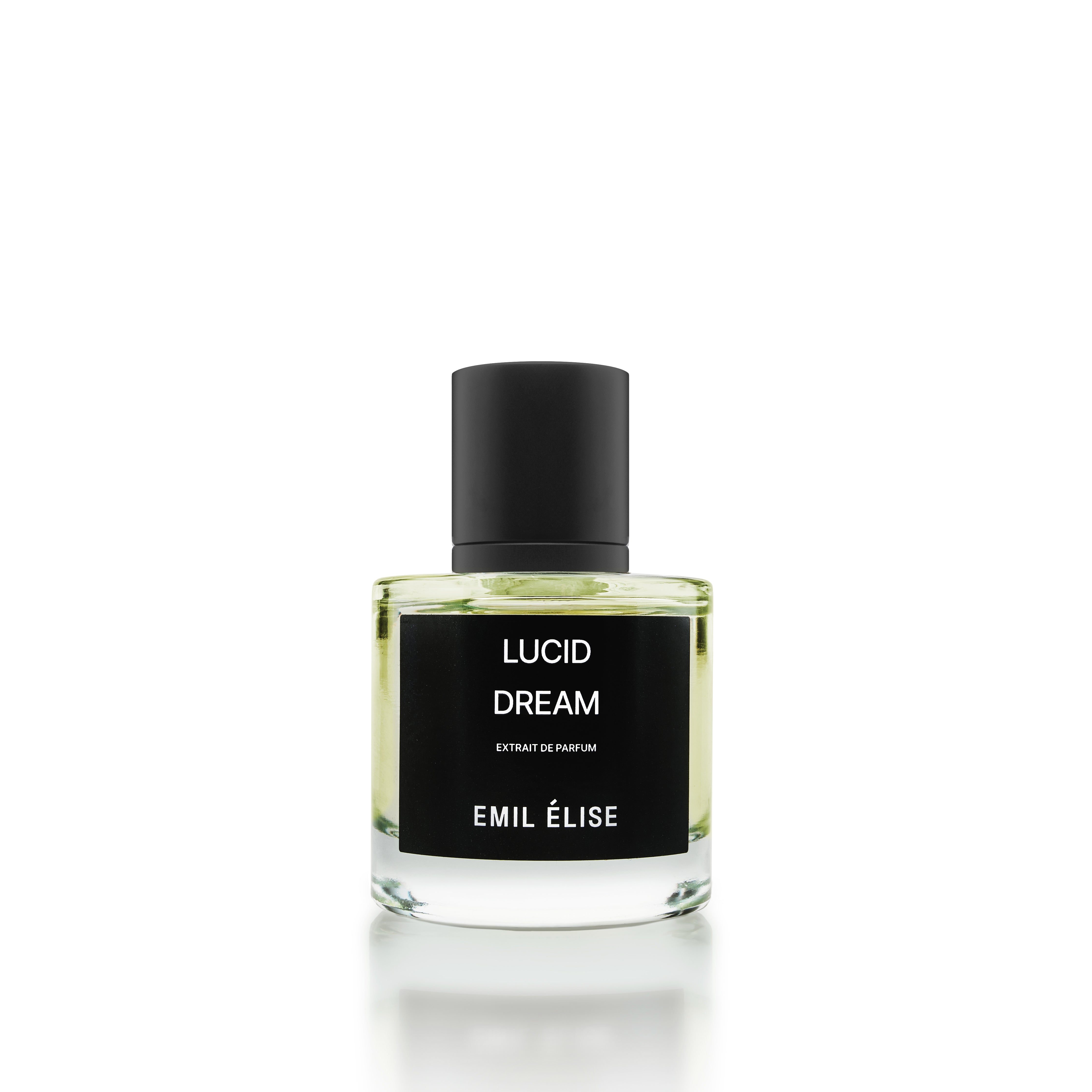 Lucid Dream Emil Elise
