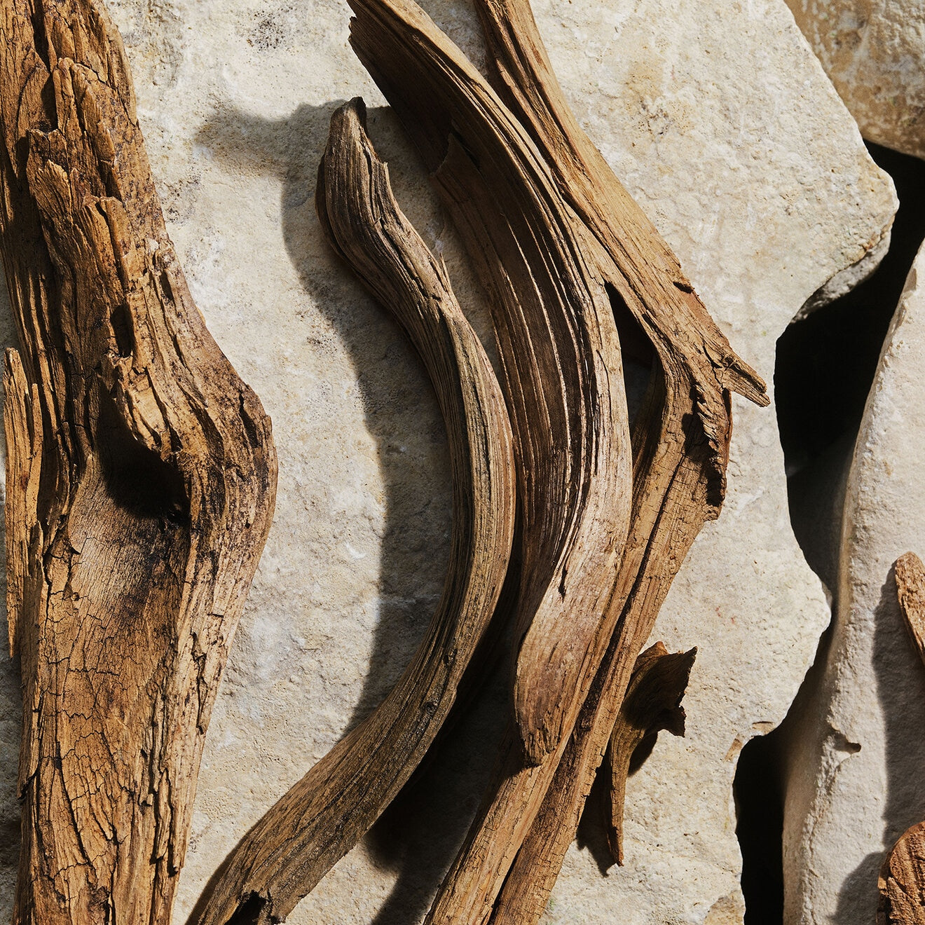 New Light Blue Eau de Toilette