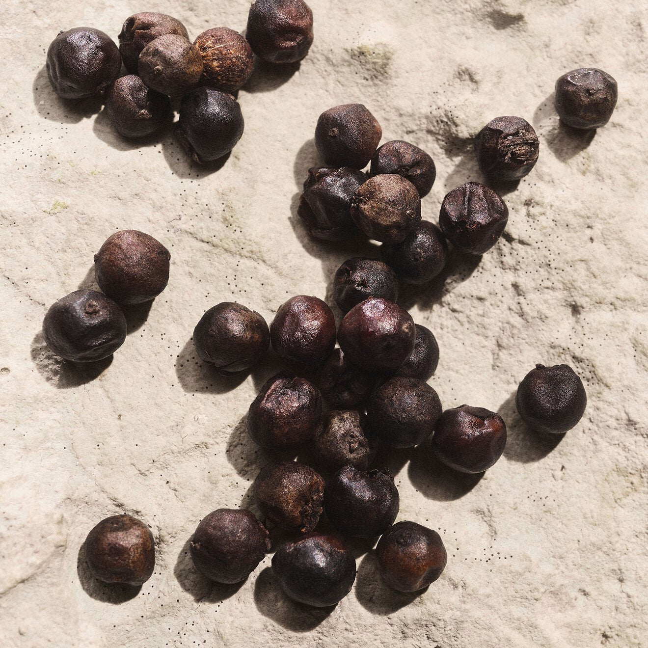 Light Blue Pour Homme Capri In Love Male Eau de Parfum