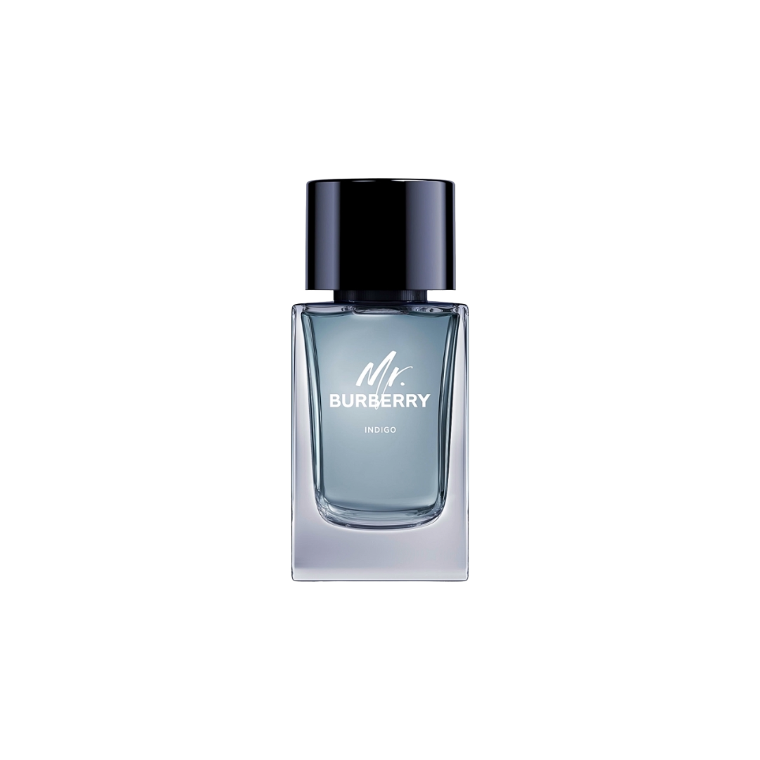 Mr. Burberry Indigo EDT