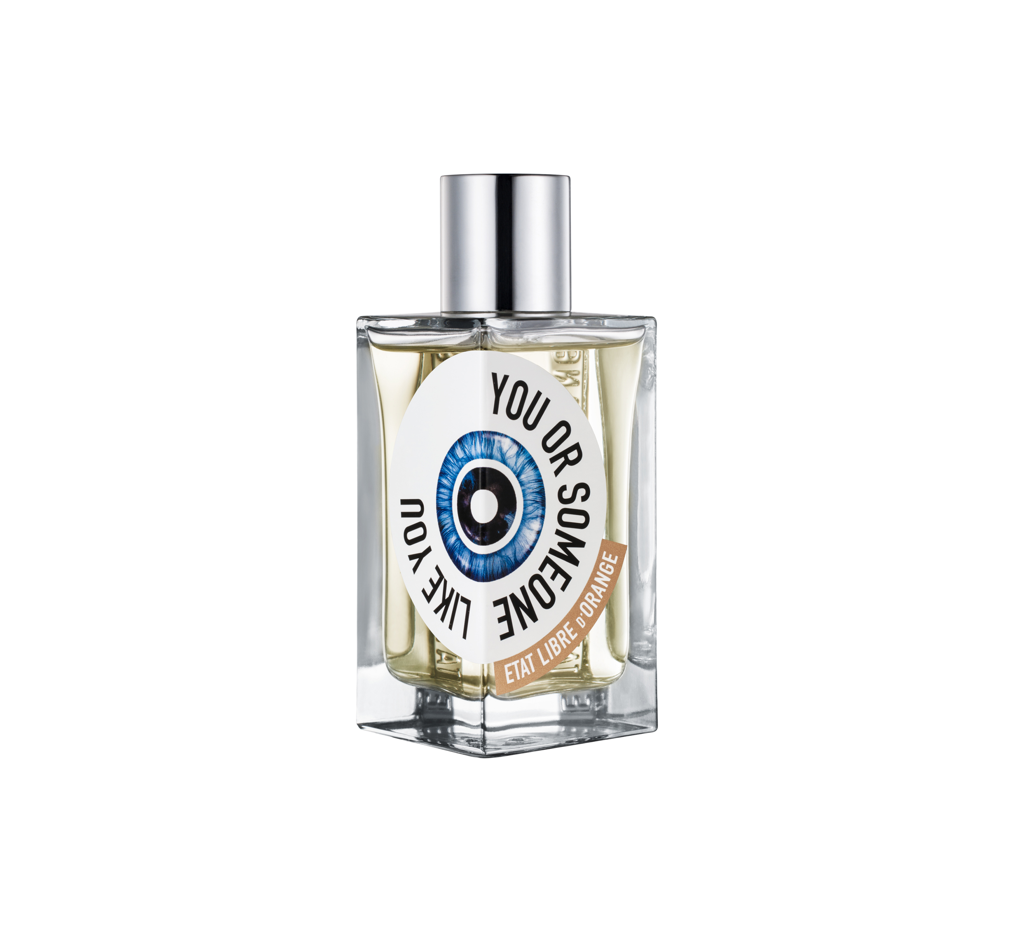 You Or Someone Like You