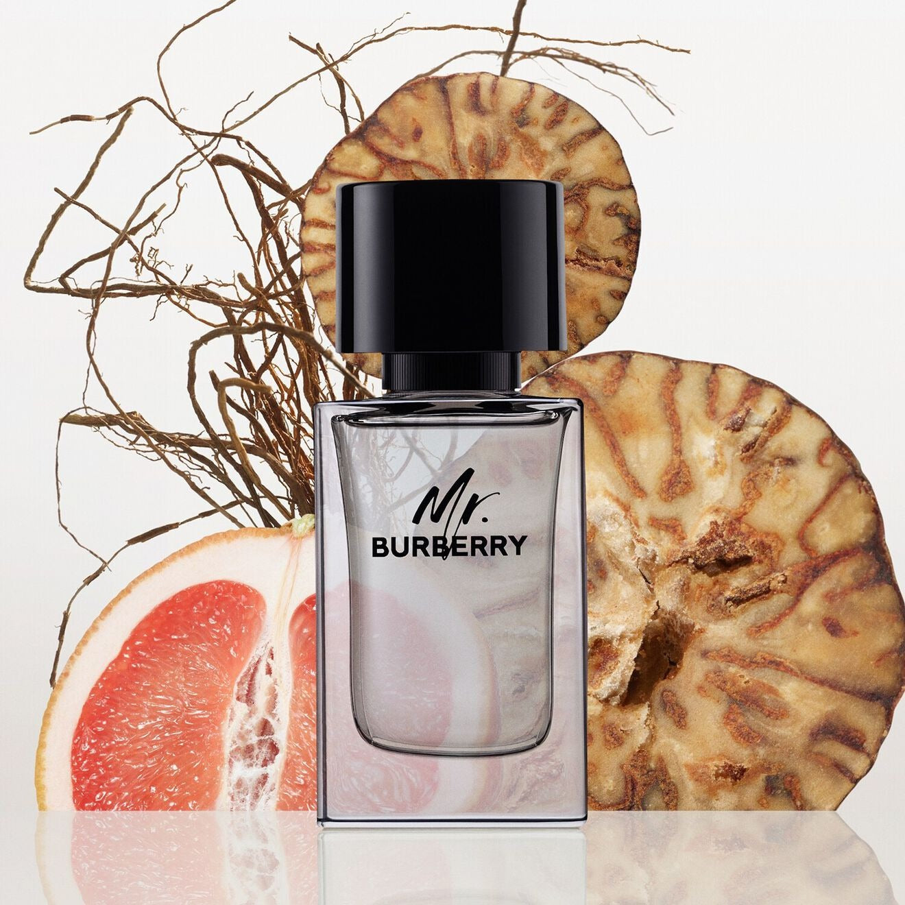 Mr. Burberry - Eau de Toilette