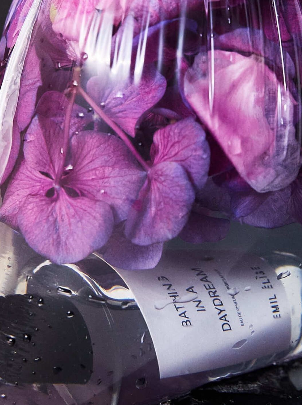 Bathing in a Daydream EDP 100ml